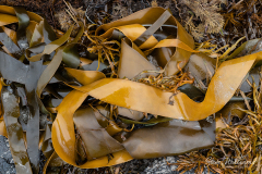Abstract Nature