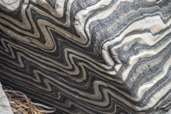 Zebra Rock