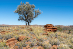 Along-the-Trail
