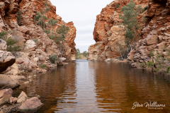 Ellery-Gorge