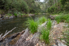 Goulburn-River
