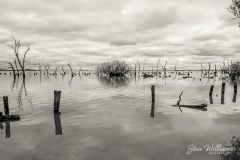 Kow-Swamp