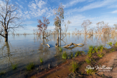 Menindee-Lake