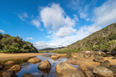 Miranda-Creek-Morning