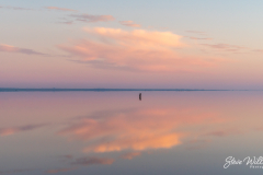 Mirror-Mirror
