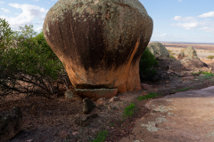 Petrified-Martian