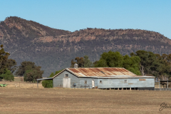 The-Shed
