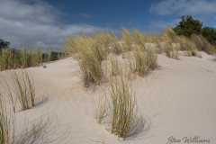 Wind-n-Sand