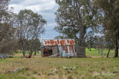 Renovators Delight